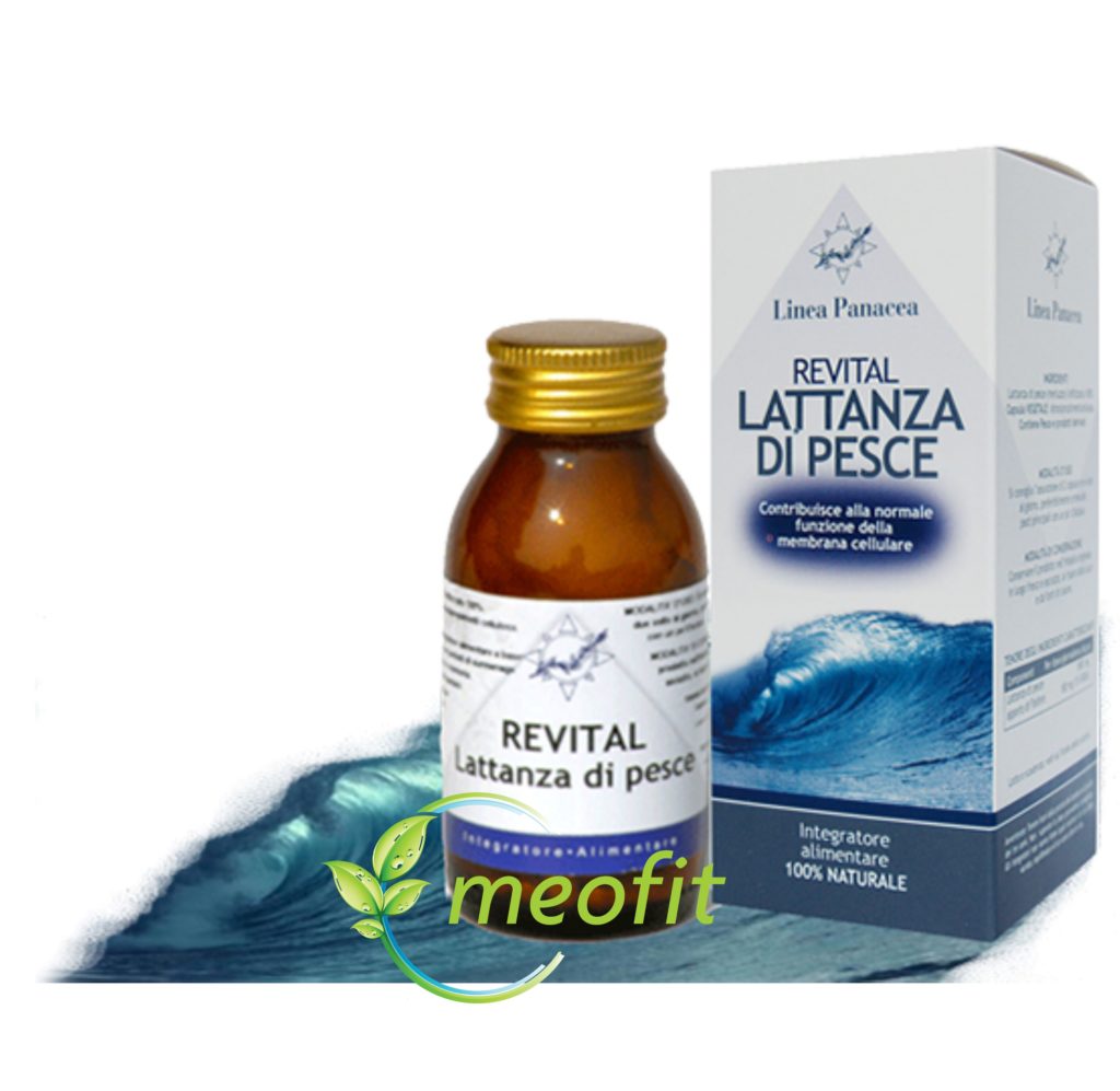 Revital LATTANZA DI PESCE